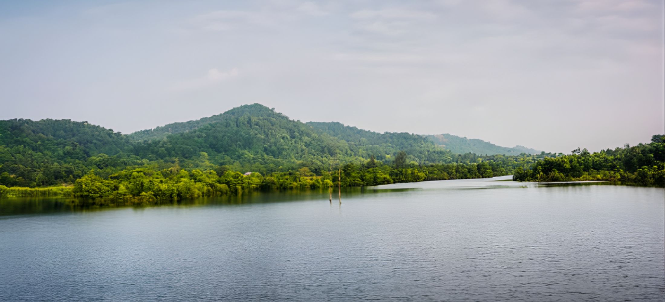 Ooty Travel Guide: How to Travel from Bangalore to Ooty