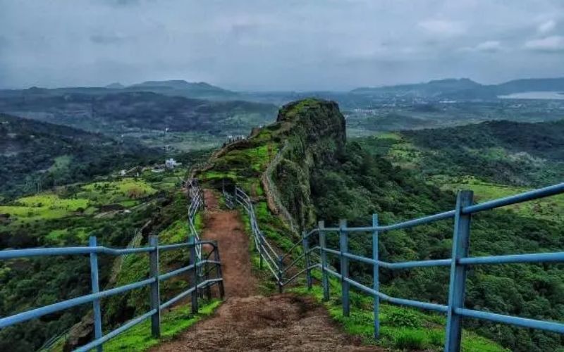 Misty Meadows of Mahabaleshwar