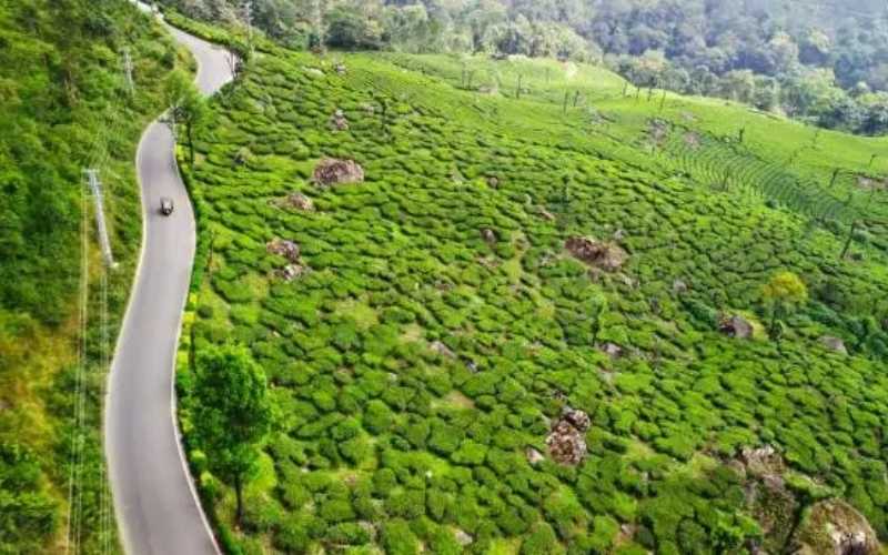 Kerala Complete: Coast, Culture & Hills