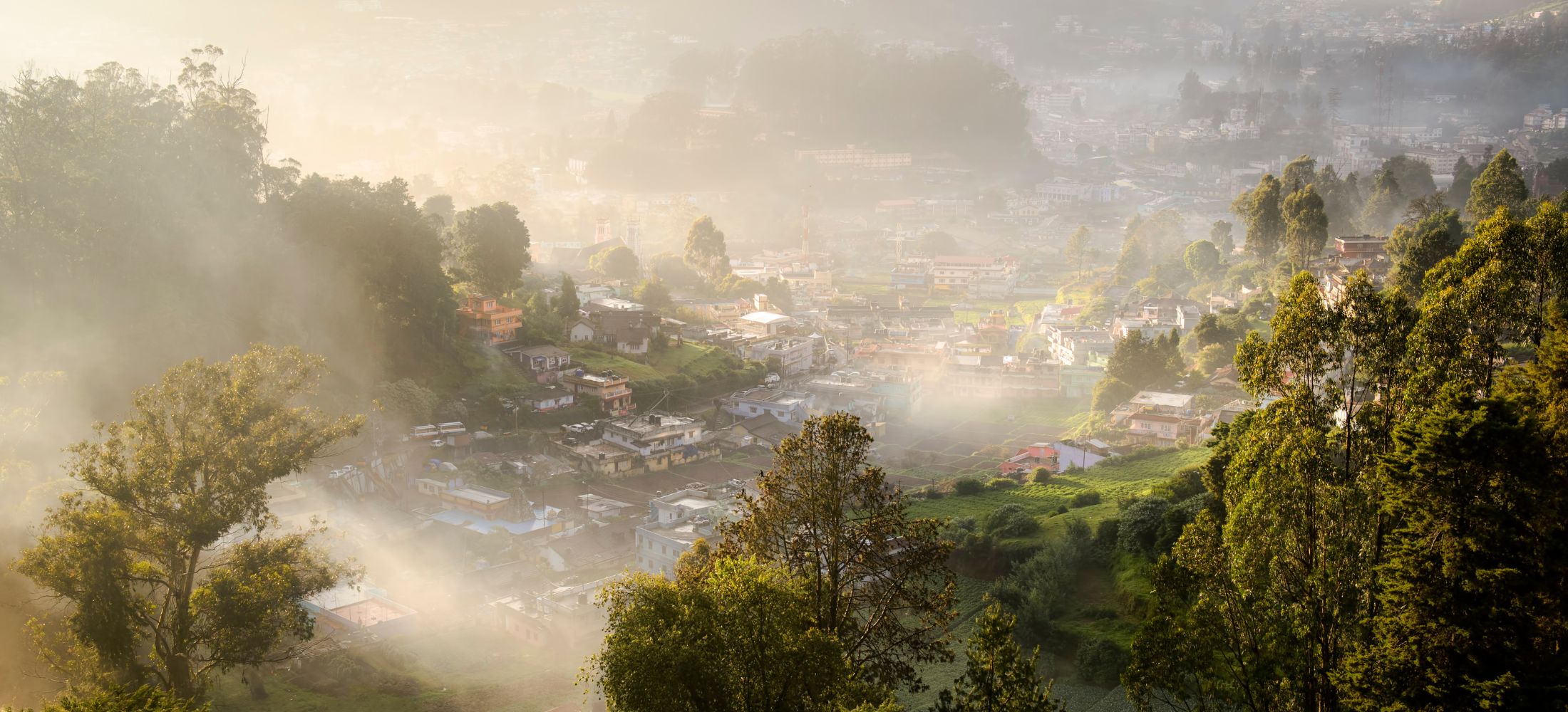 Temples, Tea & Timeless Beauty