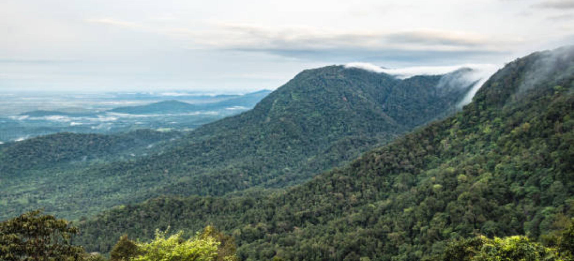 Palaces, Plantations & Peaks