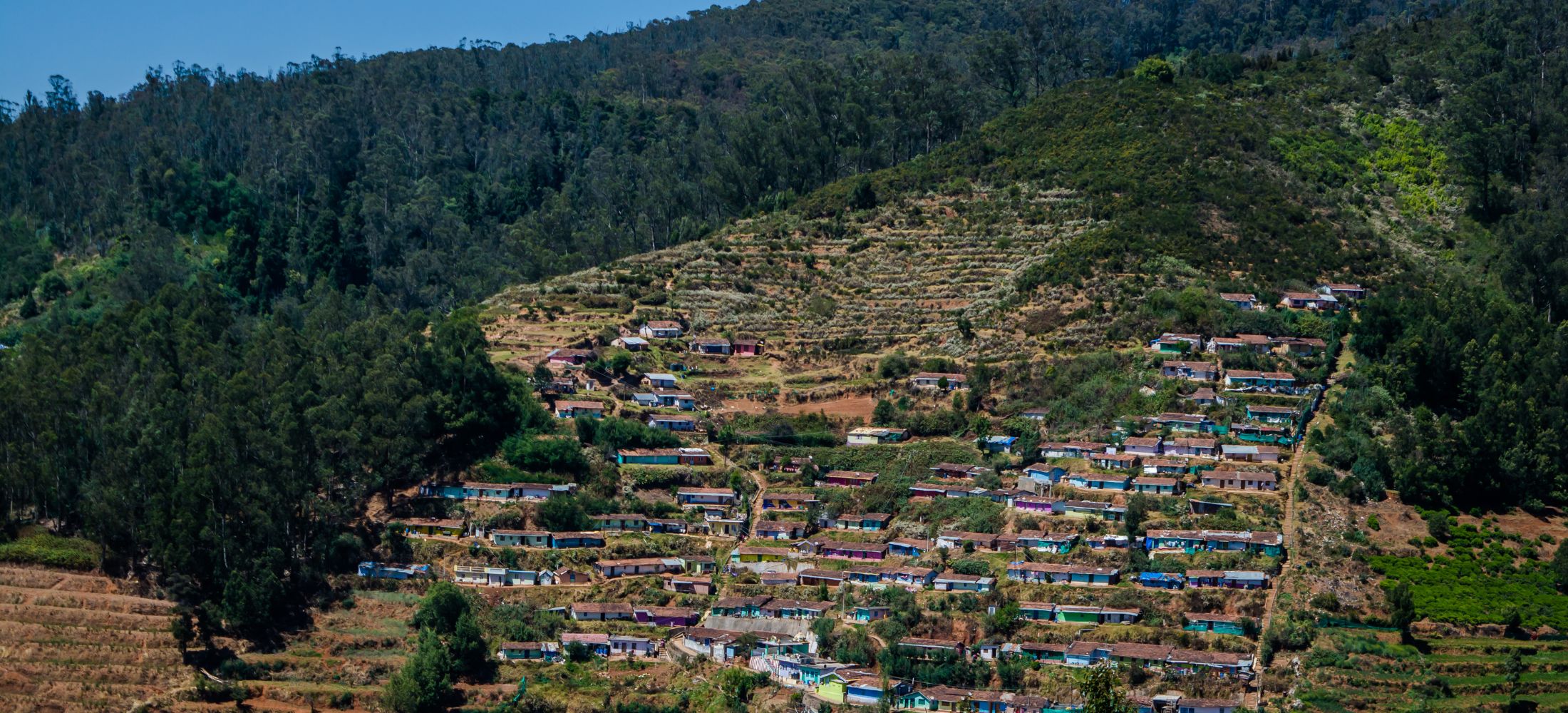 Coffee Country Escape: Coorg & Chikkamagaluru Tour