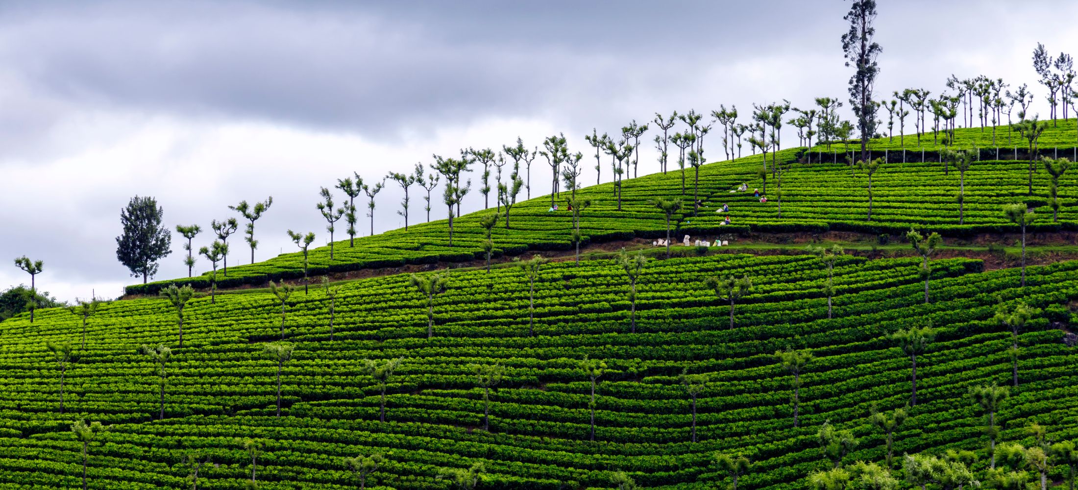 A Hill Station Retreat