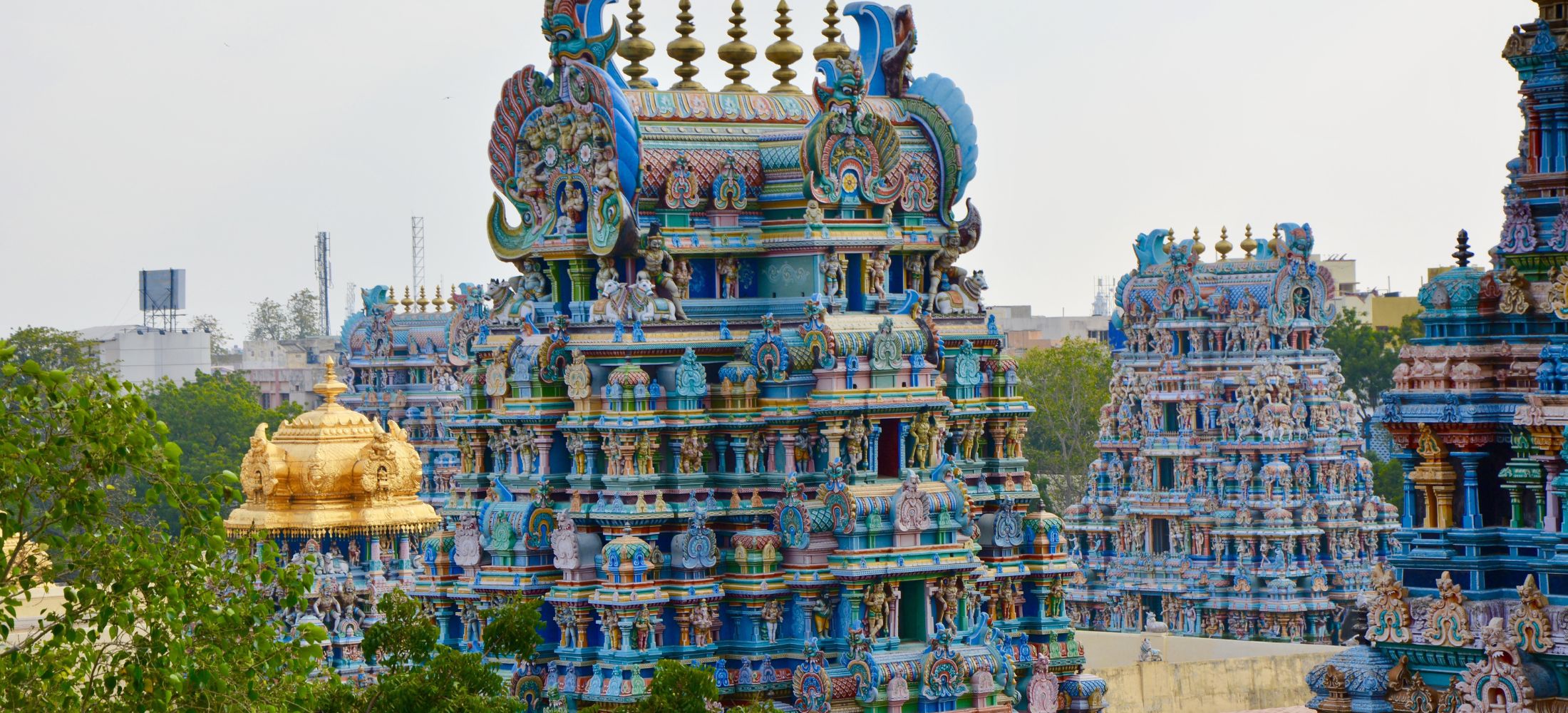 Tamil Nadu Temples & Coast Tour
