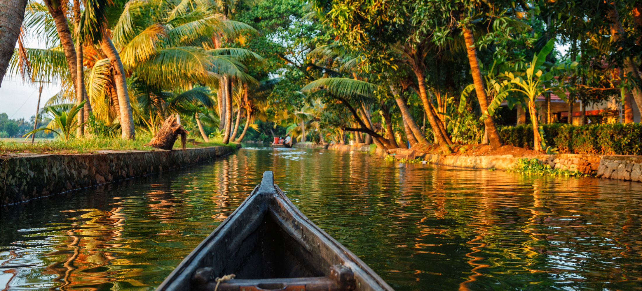 Tea Trails & Backwater Tales