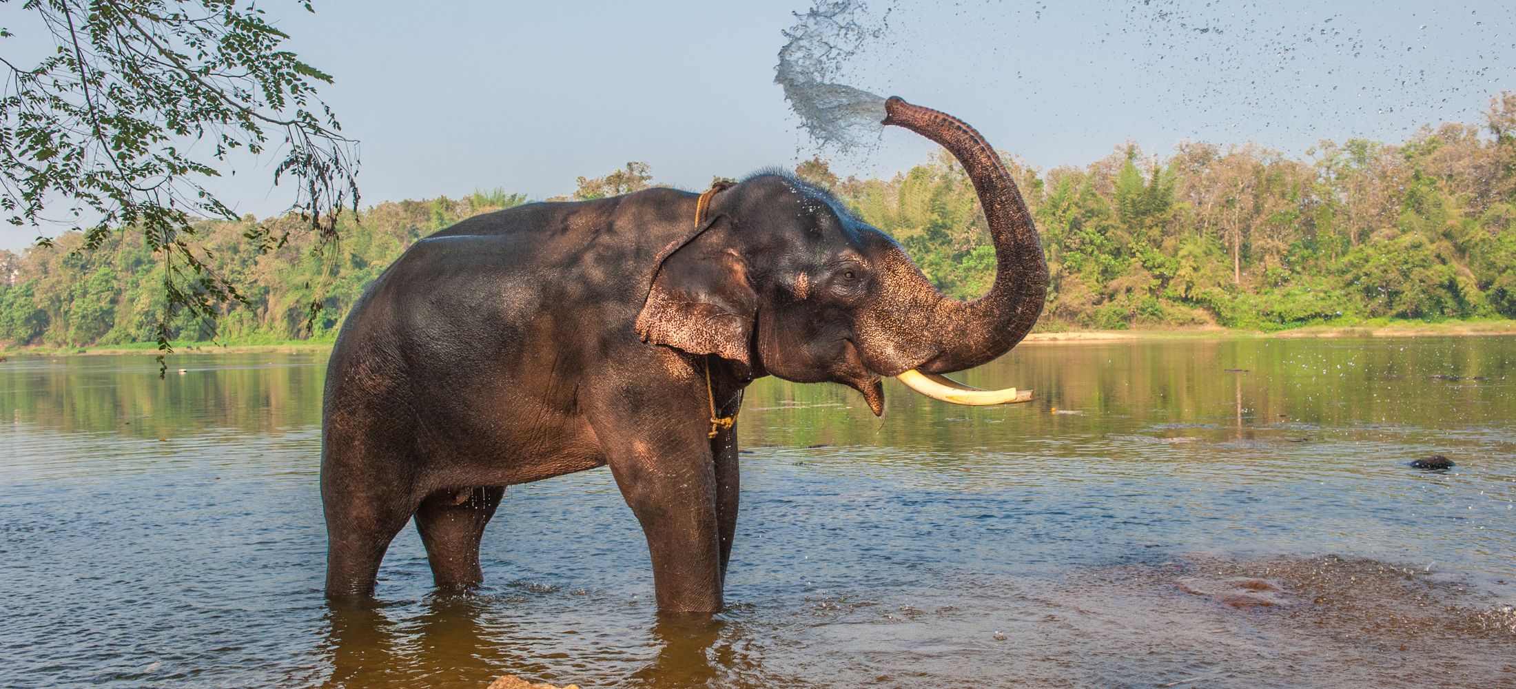 Hills, Heritage & Wilderness