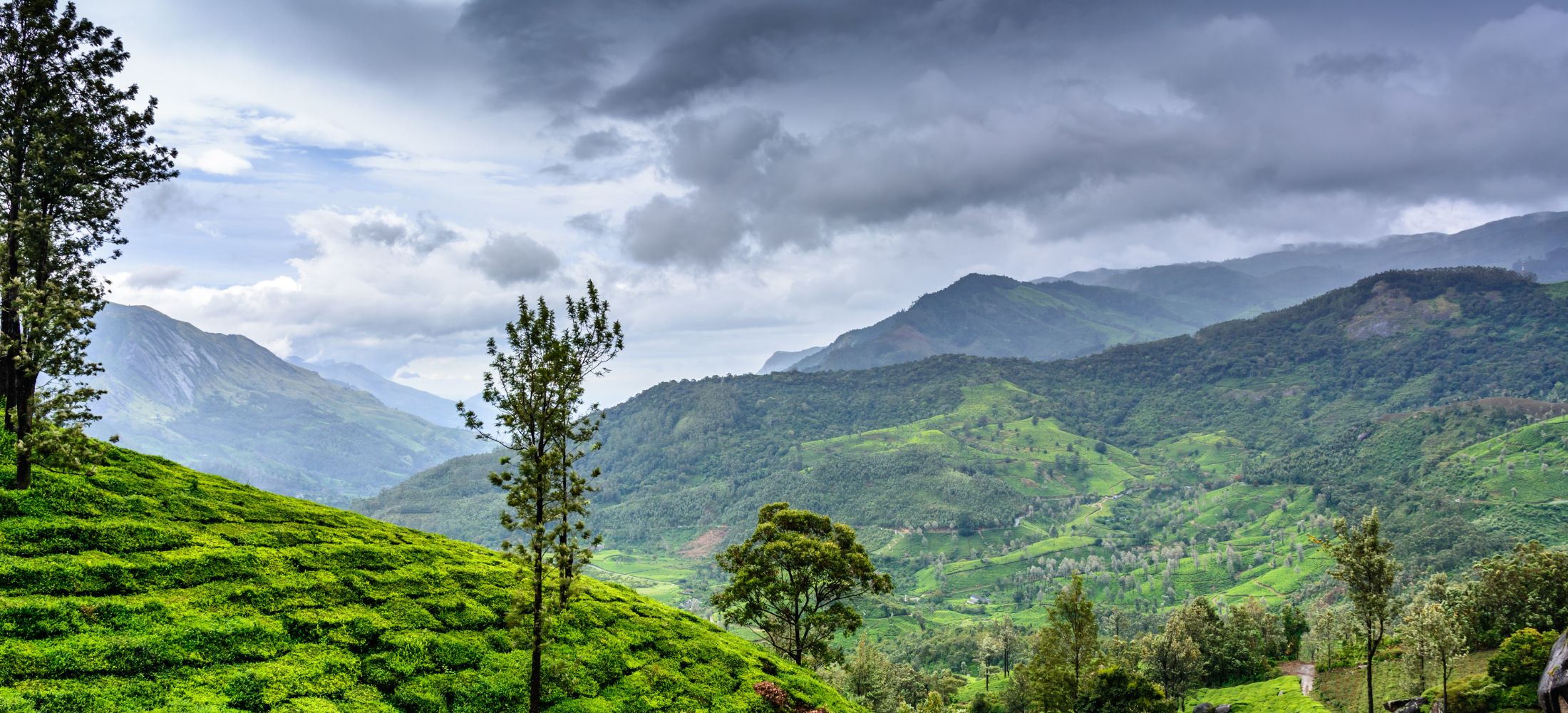 Kerala’s Quintessential Journey