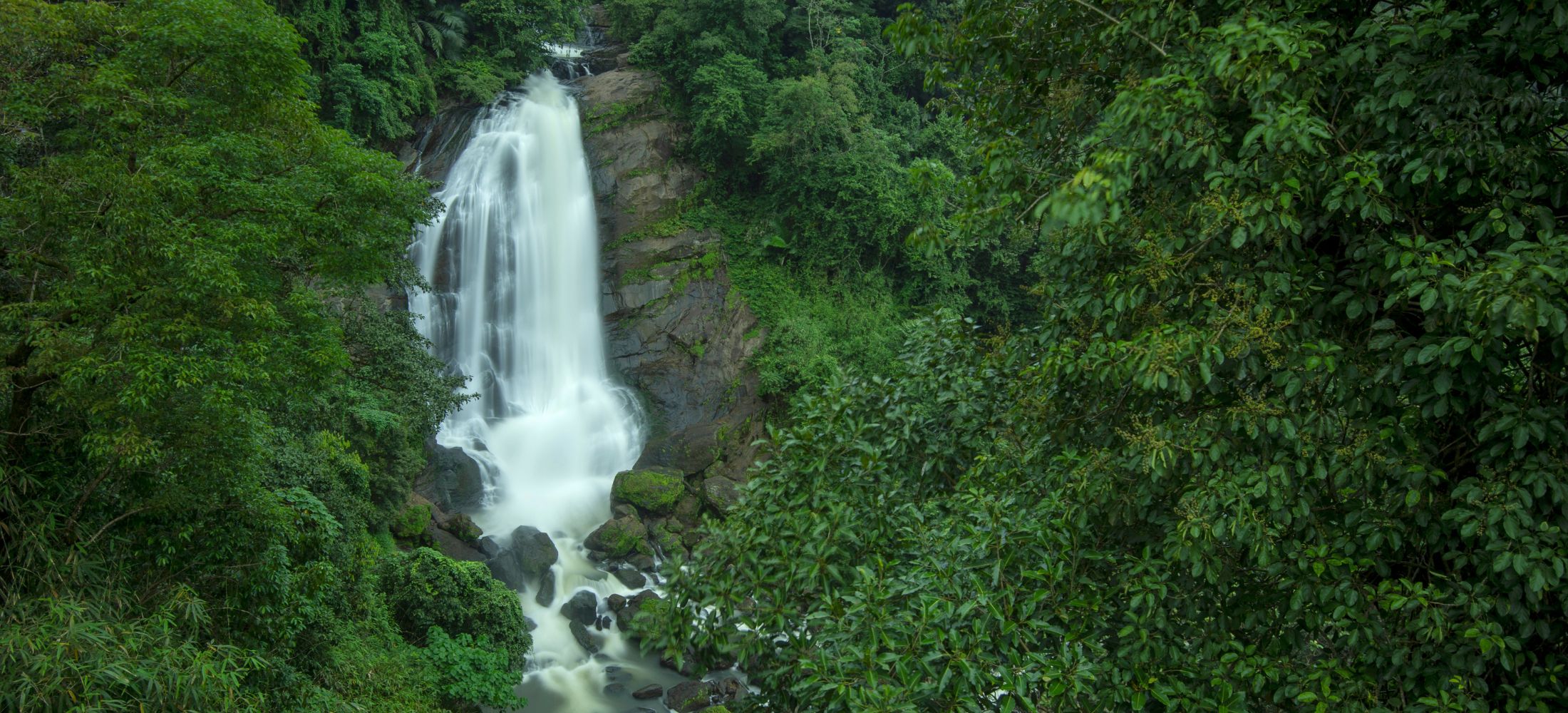 Essence of Kerala: From Coast to Canals