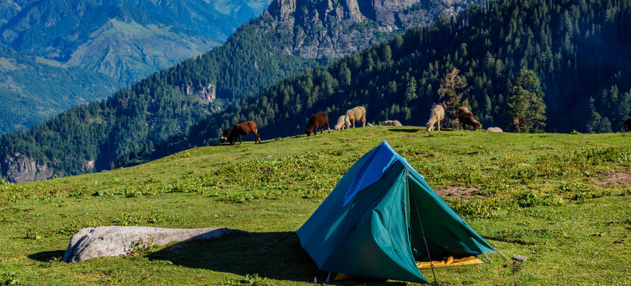 Shimla & Manali Escape