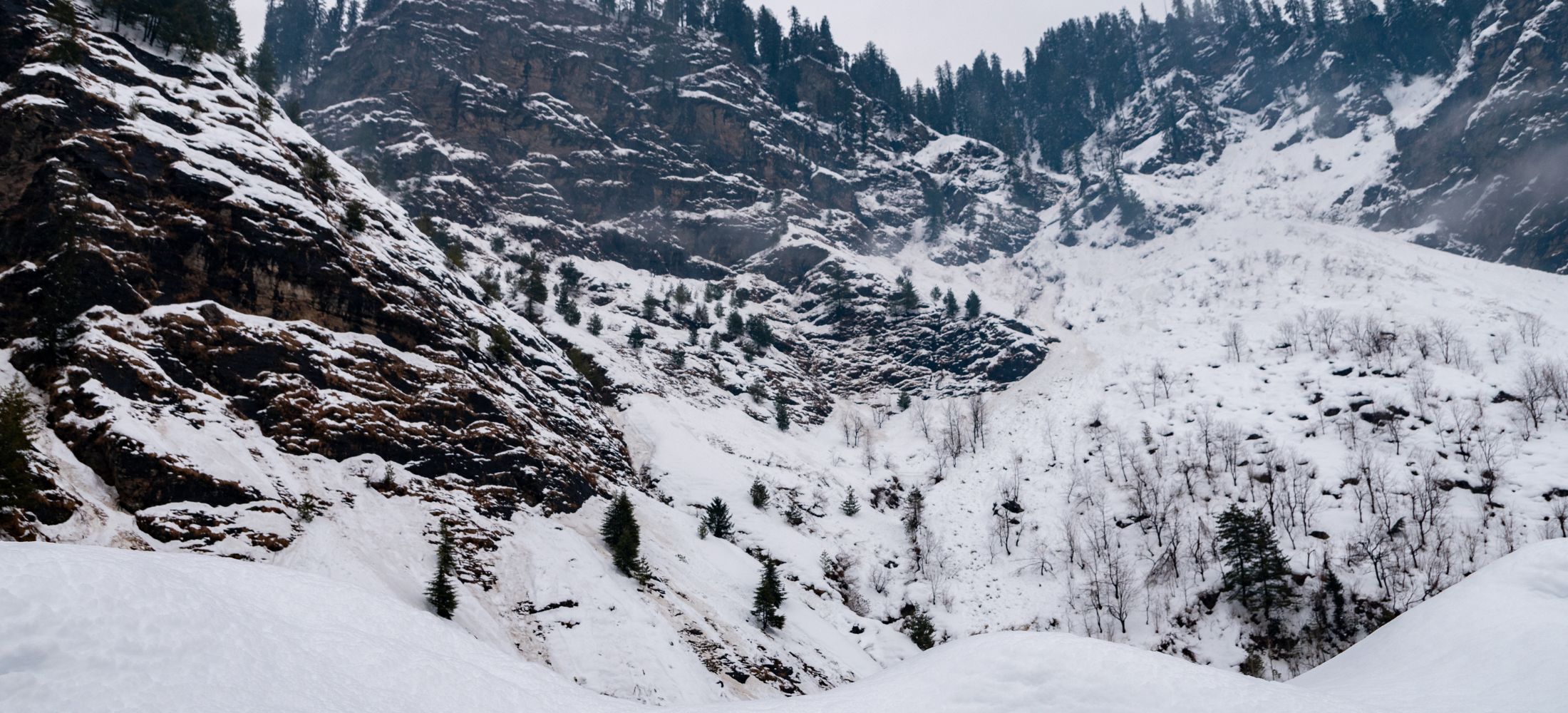 Hills & Harmony: Manali–Chandigarh Tour