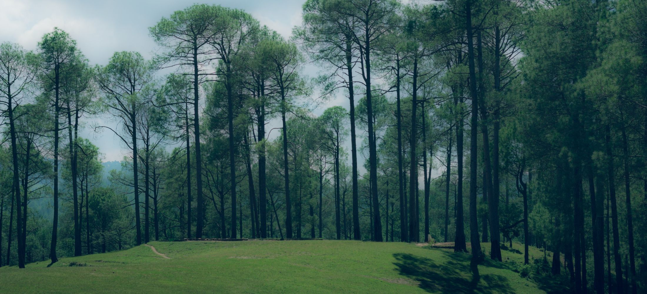 The Ultimate Uttarakhand Expedition