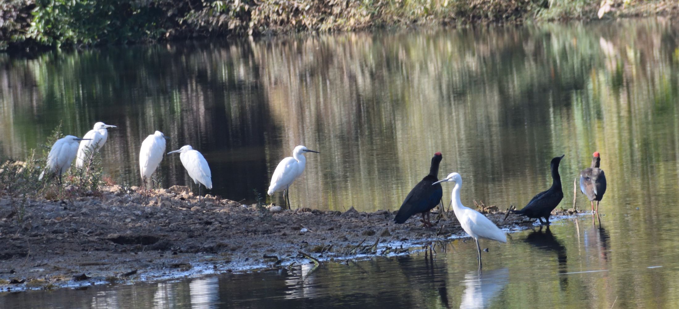 From Old City to Royal Court