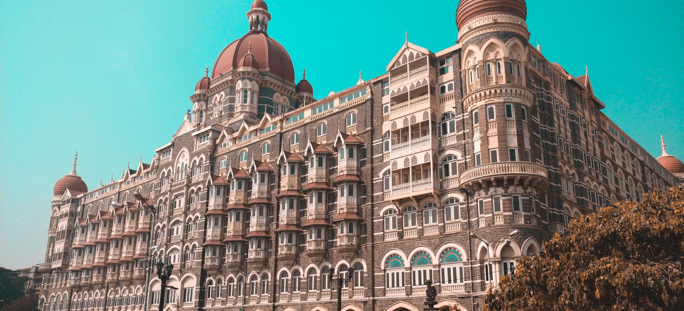 Lights, Camera, Mumbai