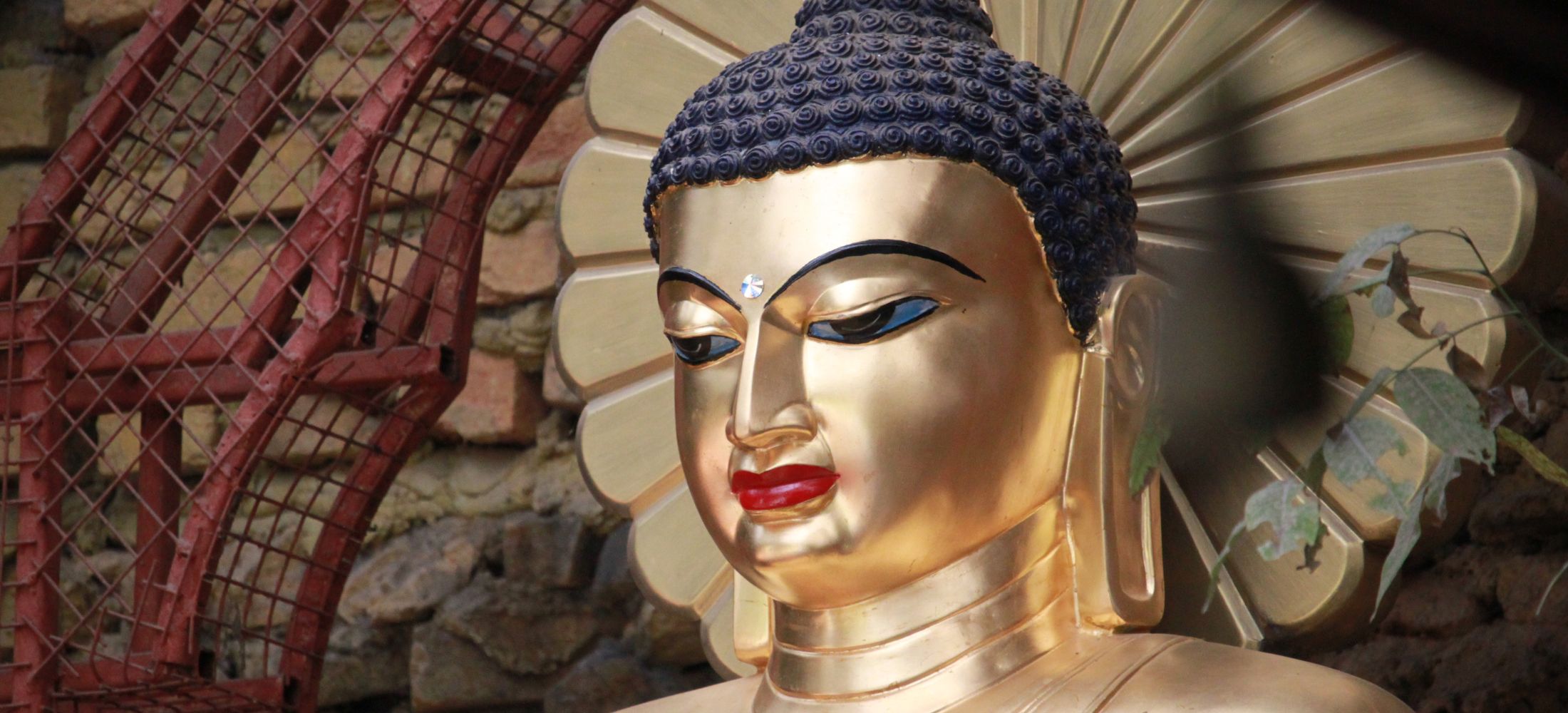 Bodhgaya Pilgrimage Experience