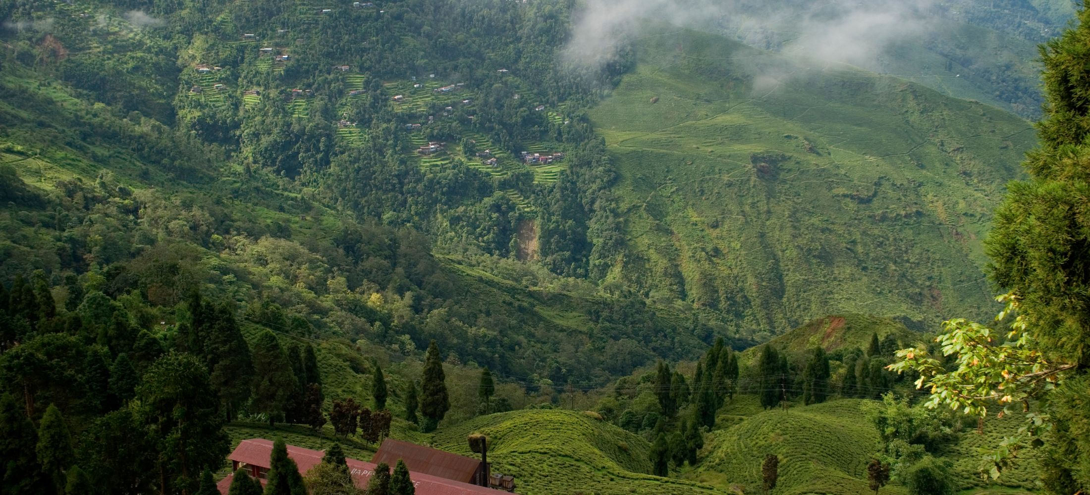 Himalayan Harmony: Darjeeling & Kalimpong Tour
