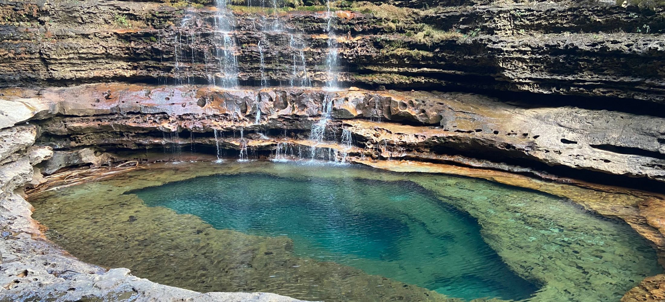 Wonders of the Wild & Hills