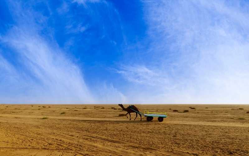 Top Rann Utsav Gujarat Tour Deals 2025