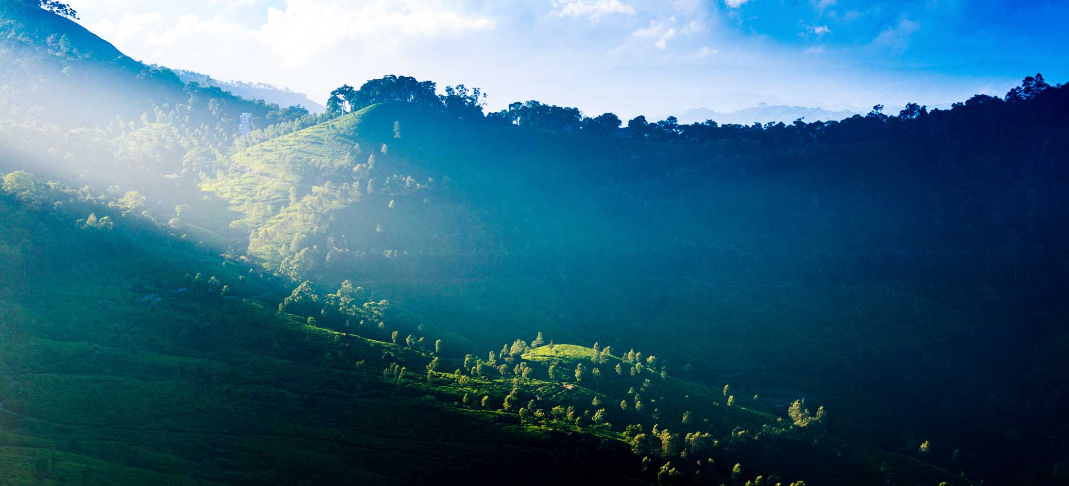 Coimbatore to Munnar Getaway